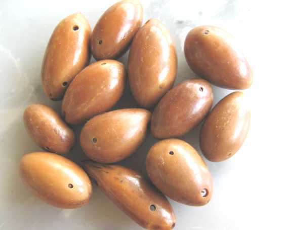 Inajá - Embalagem (D) 50 sementes