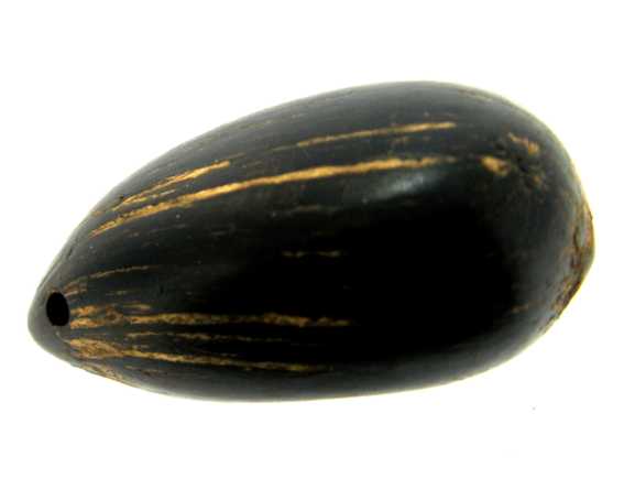 Murumuru - Embalagem (B) 500 sementes